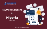 Maximising Convenience And Security With Online Payment Solutions In Nigeria