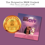 Book Review: “Little Joe and the Big City” by Mike Darcy