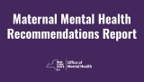 New York State Releases Landmark Maternal Mental Health Policy Roadmap