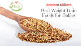 Why Millets are Super Baby Foods | Weight Gain Foods
