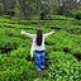 Weathering the Storm: Growth and Resilience Through This Year | by Parika Bhatli