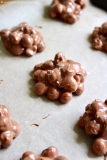 Chocolate Hazelnut Clusters (2 Ingredients) – What Jessica Baked Next