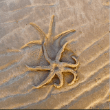 Courage is the new resilience — Dr Christian Heim: Preventative Mental Health