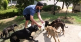 50-YO Delhi Man Arranges 50 Kg of Food Daily, Feeds 400+ Stray Dogs!