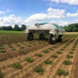 Harvesting Tomorrow: New Ideas and Changes in the Agricultural Robots Market