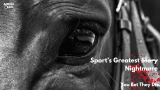 This is not sport’s greatest story – the Grand National meeting begins tomorrow