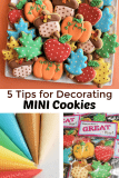 Five Tips for Decorating MINI Cookies
– The Flour Box