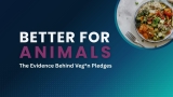 Better for Animals: The Evidence Behind Veg*n Pledges