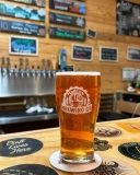 MadCow Brewing Celebrates its 8th Anniversary