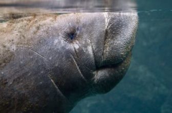 What to Do This Weekend with Kids Near Cocoa Beach & Orlando (2025 Edition)