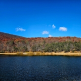 Visiting Cacapon Resort State Park I Trail Cooking