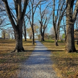 Random Things For The Week I Trail Cooking