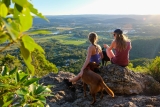 Best 8 Sunshine Coast Hikes | QLD