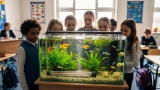 Why Schools Are Adding Fish Tanks to Classrooms