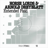 Extended Field (2025; RVNG) – Avant Music News
