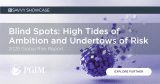 2025 Global Risk Report: High Tides of Ambition and Undertows of Risk