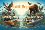 Enhancing the Well-Being of Animals will Enhance the Well-Being of Humanity • Crystal Healing Techniques