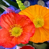 Does AI Rule the Future? – Perspectives from The Artist’s Road