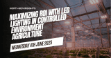 Maximizing ROI with LED Lighting in Controlled Environment Agriculture – Urban Ag News