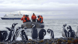 Penguins, Pisco, and Patagonia: Australis Cruises Celebrates 35 Years of Expedition Excellence at the End of the World