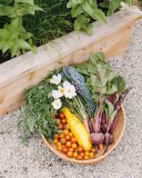 Reader Shared City Gardens — 600sqftandababy