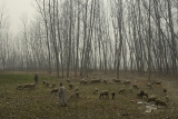 WDs Set To End Dry Spell In Kashmir – Kashmir Observer
