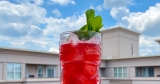 8 Summer Drink Recipes – Cocktails and Mocktails