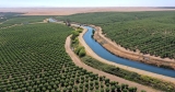 How California farmers can recharge the drained aquifers