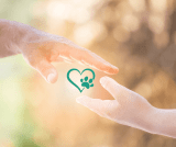 How to Support Someone Grieving a Pet