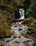 How to Visit Geroldsauer Waterfall – A Complete Guide to This Beautiful Black Forest Gem