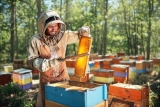 Initial Investment for a Honeybee Apiary: Ultimate Startup Cost Guide