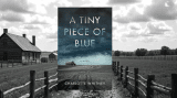 A Tiny Piece of Blue by Charlotte Whitney #HistoricalFiction @CWhitneyAuthor #Booktwt #TuesdayBookBlog
