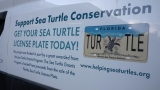 Clearwater Marine Aquarium Receives New Necropsy Table Funded by the Sea Turtle Grants Program