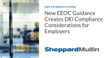 New EEOC Guidance Creates DEI Compliance Considerations for Employers