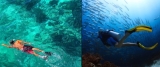 Snorkeling vs Scuba Diving – The Definitive Guide – Settle Outdoor