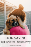 Please stop calling them “kill” shelters