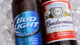 Bud Light vs Budweiser – 52 Brews