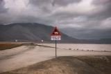 Journey to the Edge of the World: 3 days in Svalbard Left Me Speechless