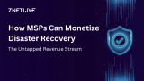 How MSPs Can Monetize Disaster Recovery: The Untapped Revenue Stream