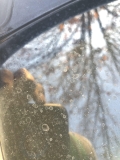 How to Remove Car Glass Water Spots: Ultimate Guide