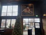 Yellow Dog Brewing fully opens its Penticton location with a renovated tasting room – The Growler B.C.