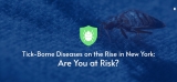 Tick-Borne Diseases on the Rise in New York: Are You at Risk? – Pestech