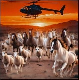 BLM to oust wild horses forever from “checkerboard” part of Wyoming