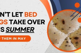 Don’t Let Bed Bugs Take Over This Summer—Stop Them in May
