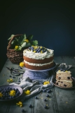 Buttermilk Blueberry Cake with Pistachio Cream