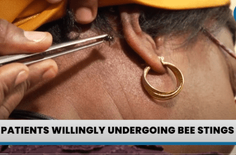 Kenya’s Bee Sting Therapy Offers Pain Relief Where Modern Medicine Falls Short