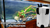 What aquarium filter is best for Tiger Oscar fish