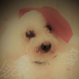 Why Are You Reading My Diary?