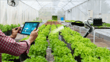 The Role of Technology in Modern Agricultural Equipment