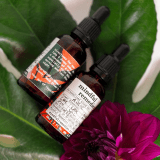 Bach Flower Remedies for PDA (Pathological Demand Avoidance) – Mindful Remedies